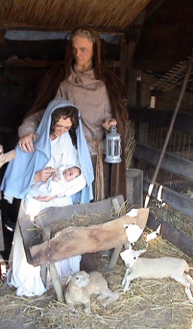 Kerststal 2008 057